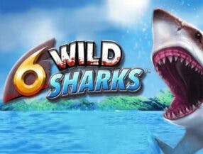 crazy games slot