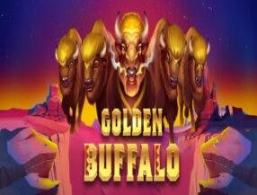 cash slots paga mesmo reclame aqui