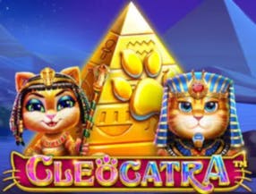 jogo do tigre print